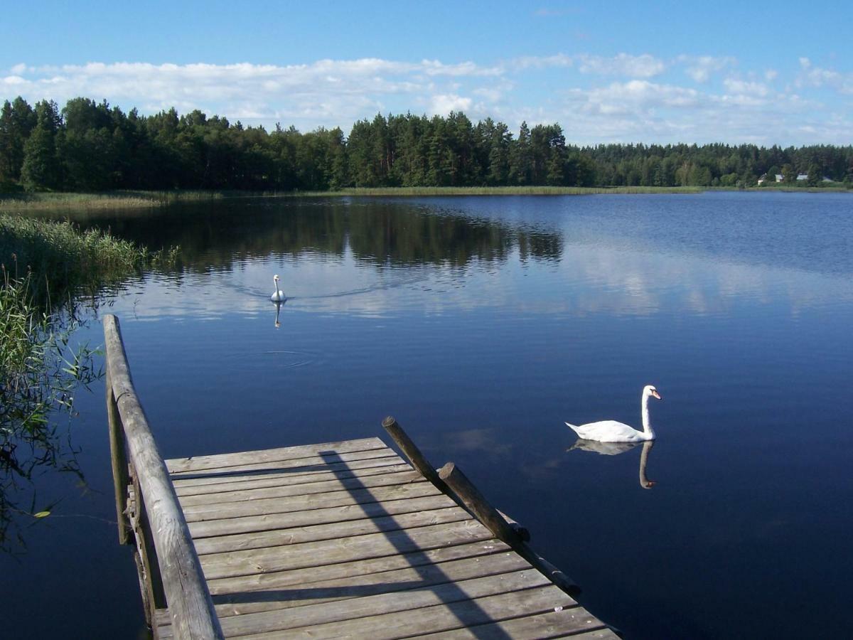 Domwigierski Pl -Jeziorki -Gr- Comfort-Ferienhaus-Polen - Wlasna Linia Brzegowa I Sauna Високий Мост Екстер'єр фото