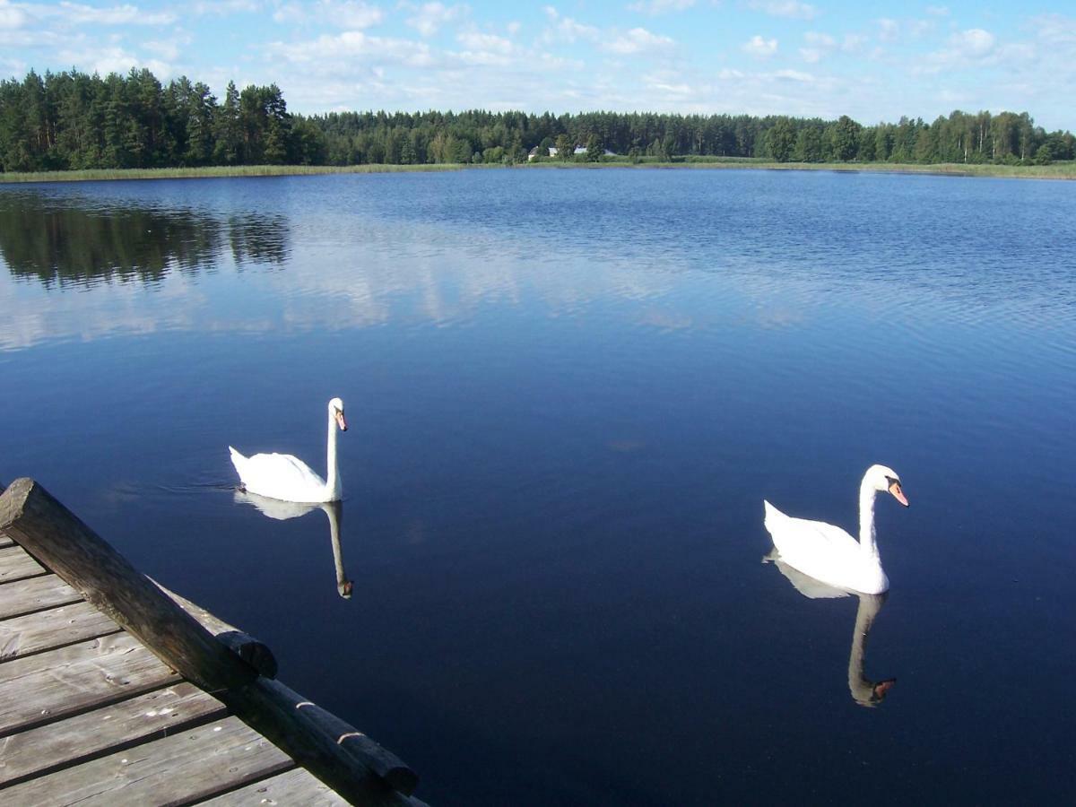 Domwigierski Pl -Jeziorki -Gr- Comfort-Ferienhaus-Polen - Wlasna Linia Brzegowa I Sauna Високий Мост Екстер'єр фото